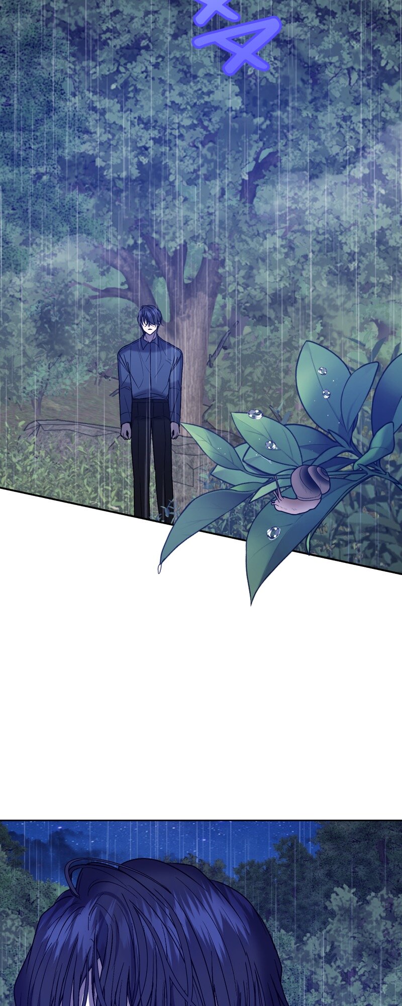 52882363 800 2000 271971